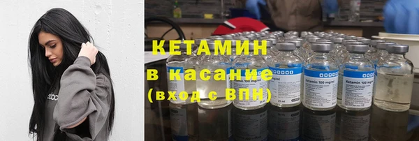 шишки Верея