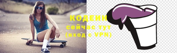 шишки Верея