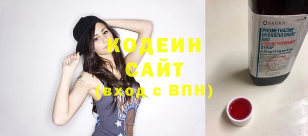шишки Верея