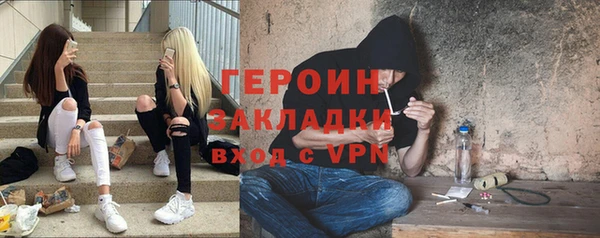шишки Верея