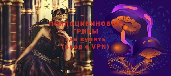 a pvp Володарск